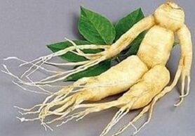 Root ginseng για να κάνει έγχυση